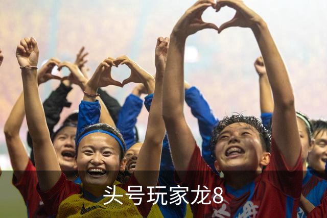 头号玩家龙8公司介绍图片
